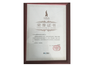 中國醫(yī)院建設獎