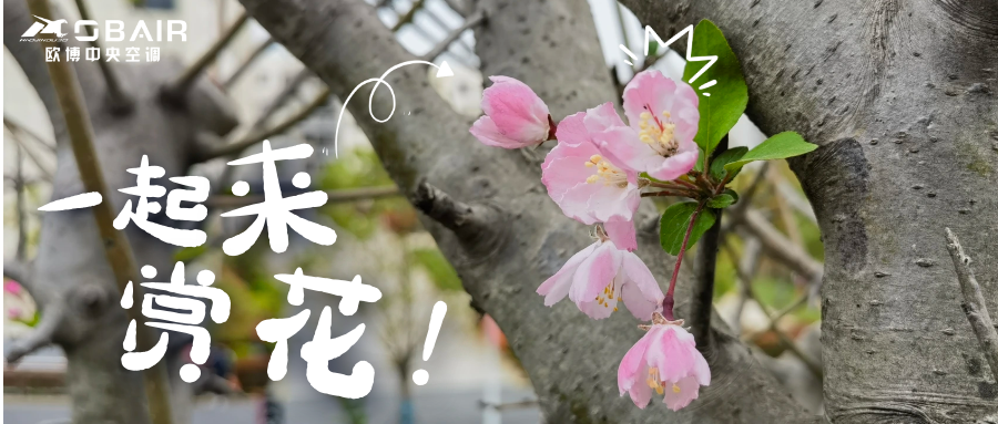 花香滿歐博|讓工作回歸自然，構(gòu)建生態(tài)新場(chǎng)景！