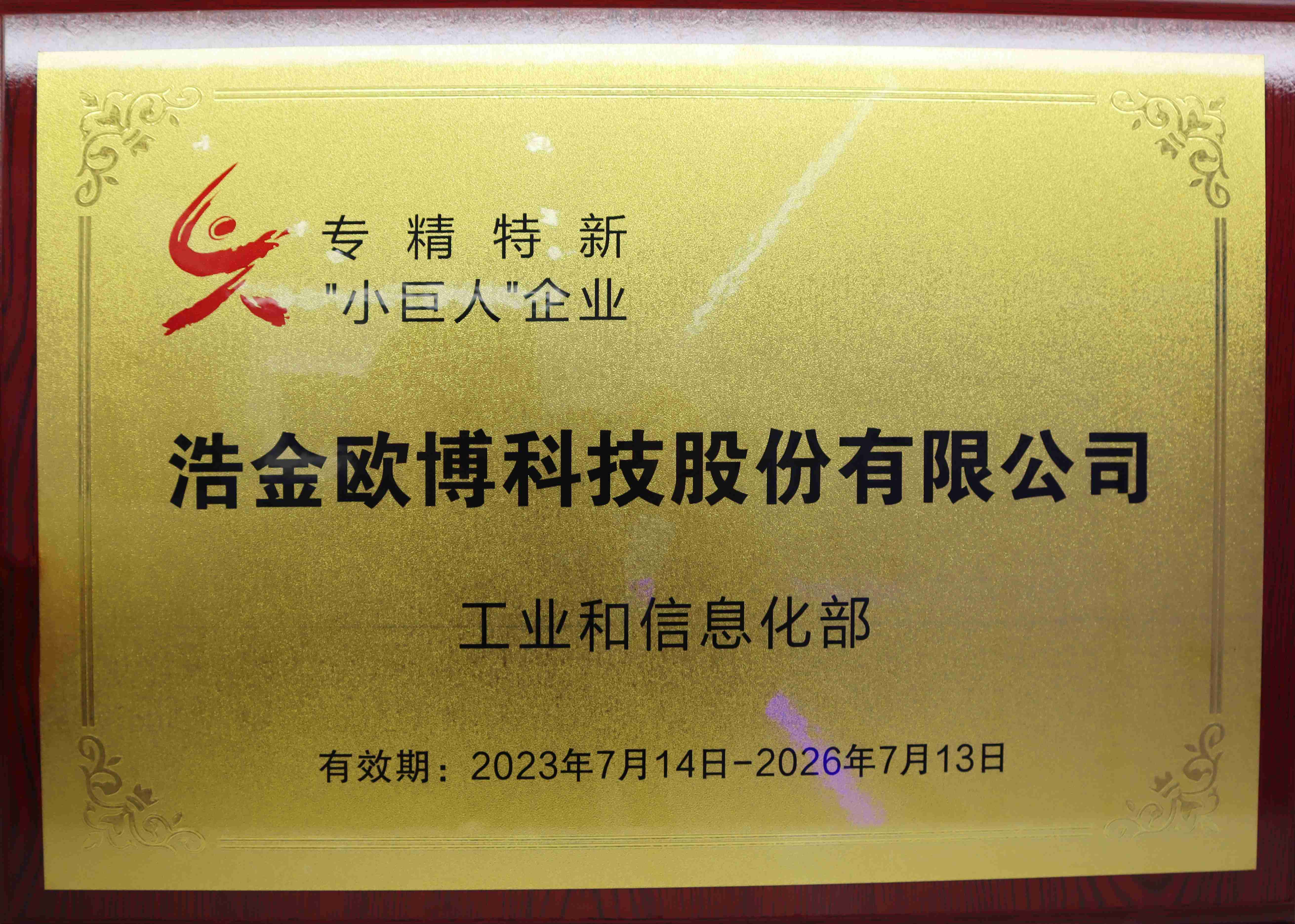 專(zhuān)精特新小巨人企業(yè)