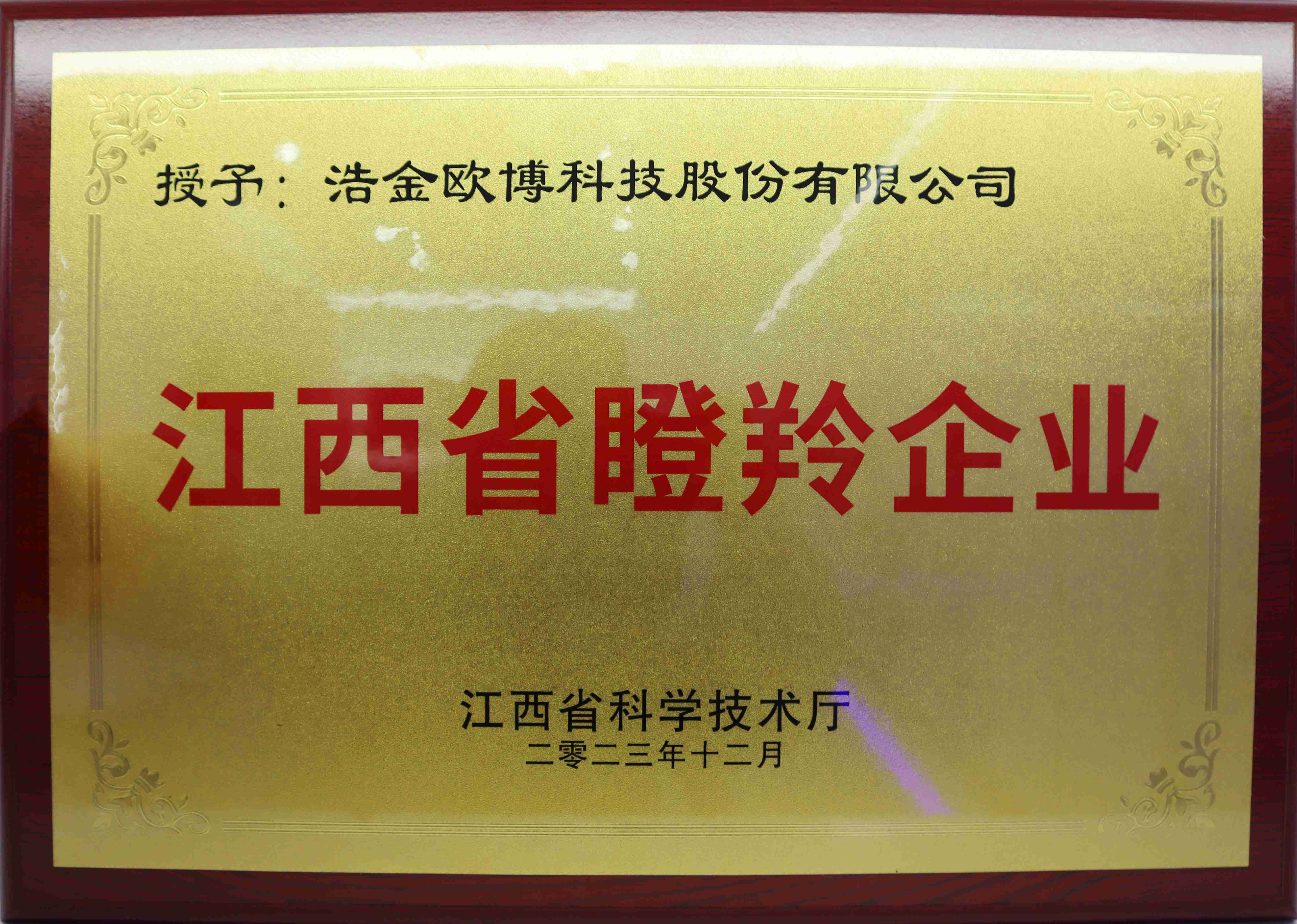 江西省瞪羚企業(yè)