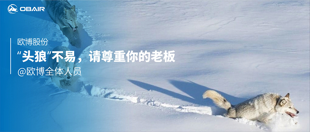 “頭狼”不易，請尊重你的老板