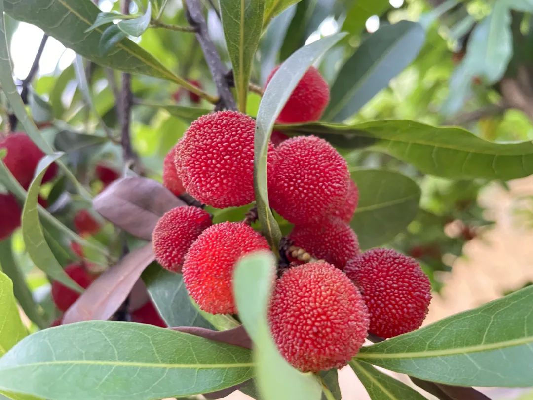 1658455525261124.jpg 640 (10)