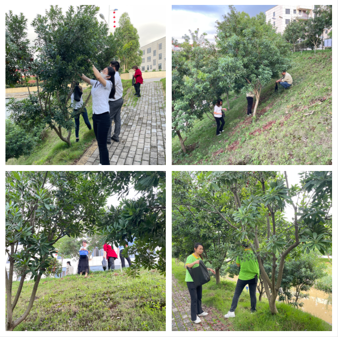 1658455533394528.png 640 (2).