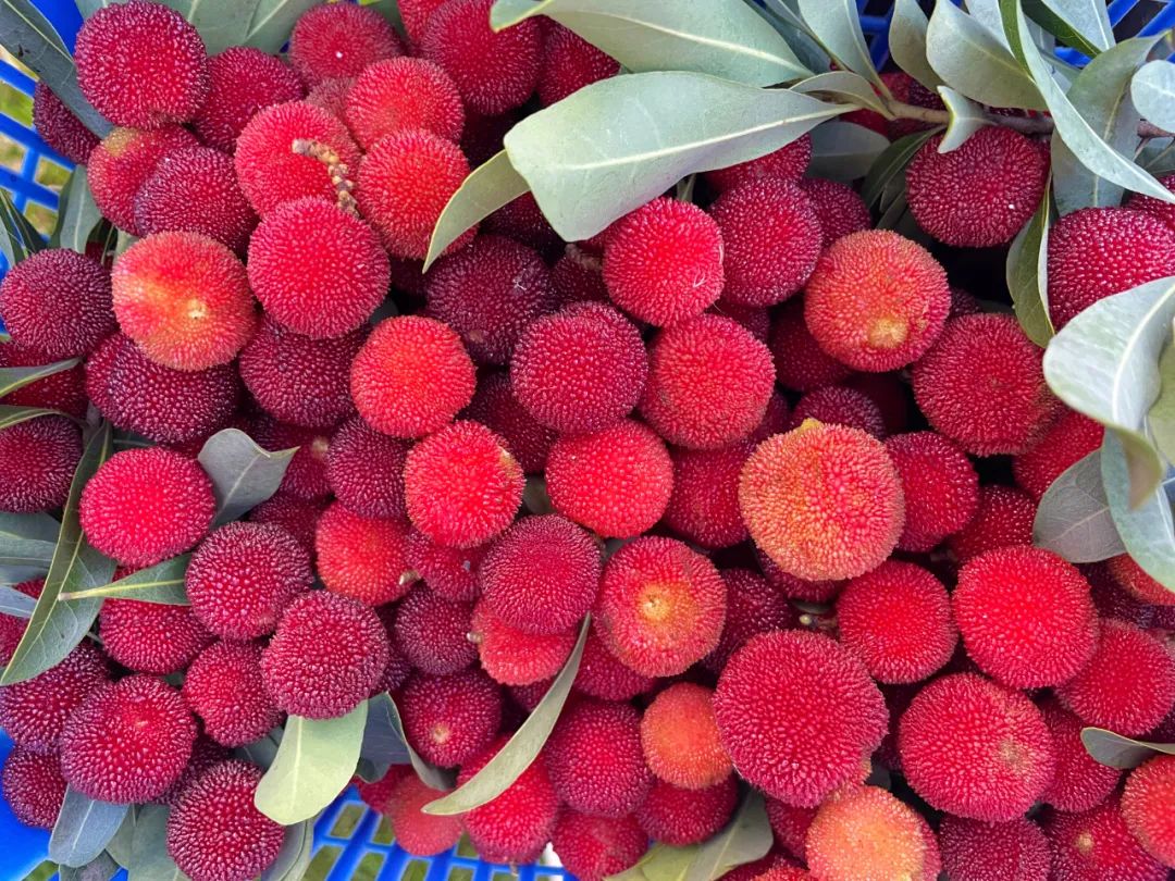 1658455541342446.jpg 640 (11)