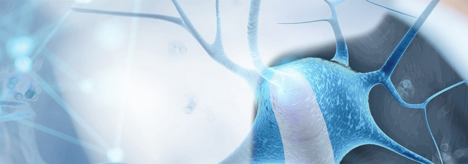 1759797730585135.jpg 4