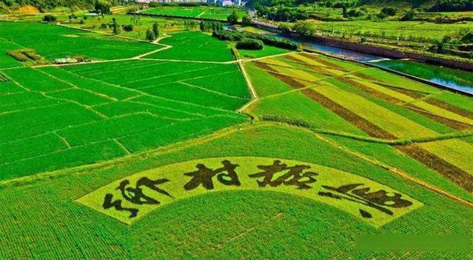 1763431151854010.jpg 6