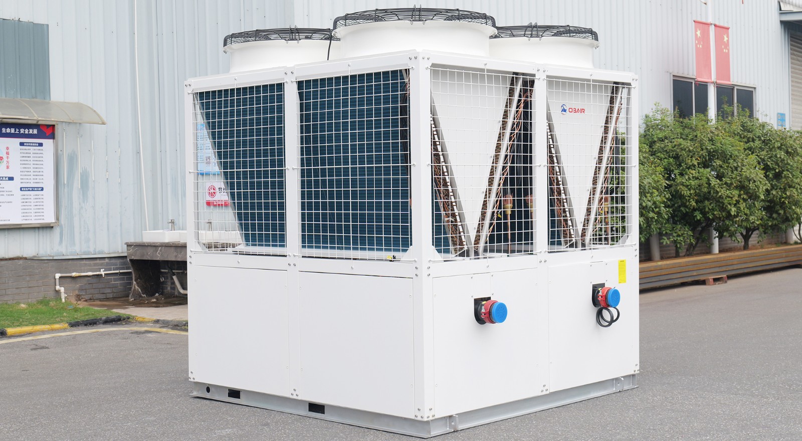 1763431194394294.jpg 4